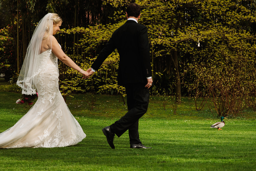 Bride and Groom and a duck at Villa Melzi Bellagio Italy